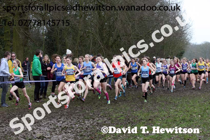 Womens under-20s Inter Counties Cross Country, Prestwold Hall, Loughborough. Photo: David T. Hewitson/Sports for All Pics